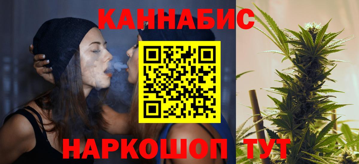 Бошки Шишки планчик Нерюнгри