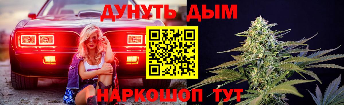 Нерюнгри  Канабис сатива  Марихуана OG Kush  Вход с VPN 